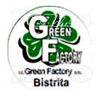 Pizza Green Factory Bistrita